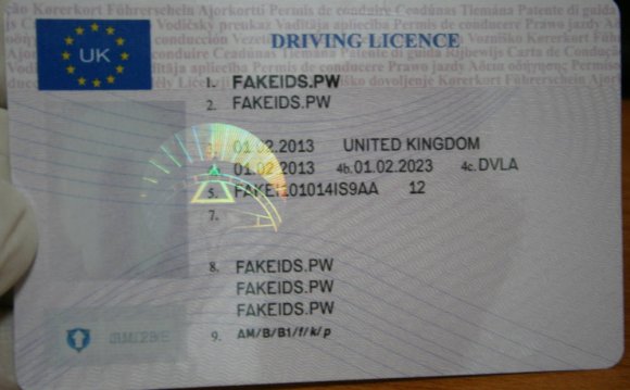 Fake Driving Licence with