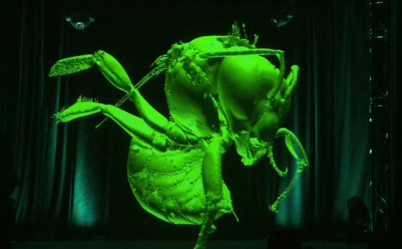 Holographic projections