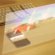 Smartphone hologram projector