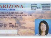 How to Make Holograms for Fake ID?