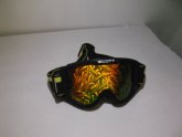 Scott hologram goggles