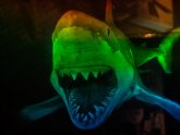 Shark hologram