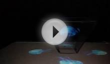 3D Hologram on 17 monitor