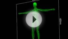 Medical Hologram - Full Anatomical Human Body