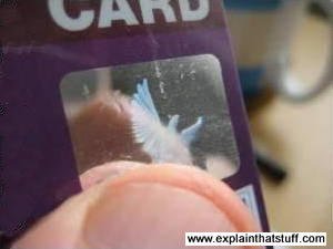 Dove hologram on a Visa credit card