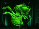 Holographic Projections
